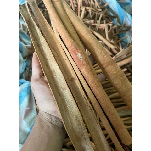 Quế Mảnh Xòe Cắt 5-15cm Yên Bái Cạo Sạch Vỏ Thơm Cay Ngọt Hậu - Pha Trà, Nấu Ăn, Trang Trí