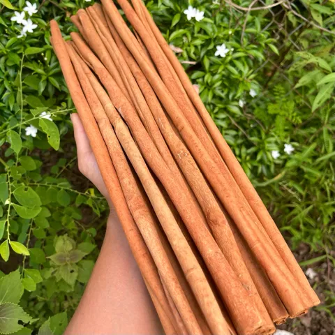 500g Quế Ống Sáo Cắt Theo Yêu Cầu Pha Trà, Nấu Ăn, Decor Không Gian - Quế Văn Yên Thơm Cay Ngọt Hậu