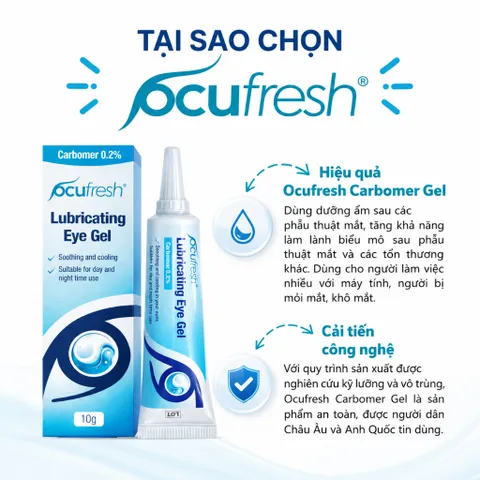 Combo 3 Tuýp Ocufresh Eye Gel Hỗ Trợ Dưỡng Ẩm Mắt, Sử Dụng Hằng Ngày Tuýp 10g