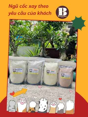 Bột ngũ cốc xay theo yêu cầu ( 5 loại đậu, mè đen, gạo lứt )