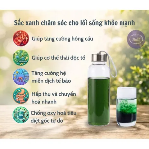 Nước uống cô đặc Green Quantum 150ml / hỗ trợ lanh lọc gan nóng trong