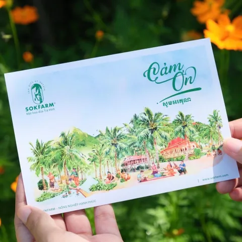 Hộp quà gia vị hữu cơ Sokfarm (Mật cô đặc 250g + Nước tương 200ml + Đường 150g).