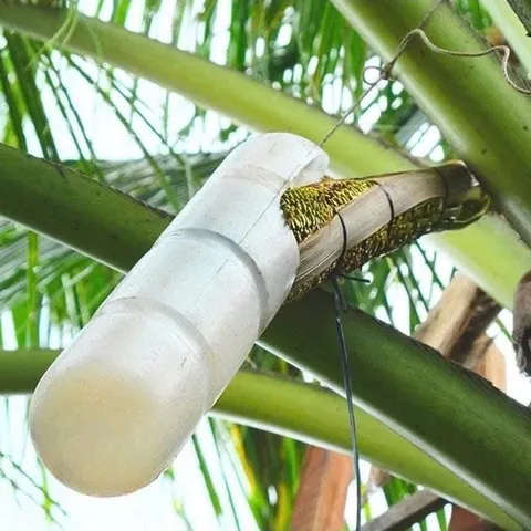 Mật hoa dừa cô đặc hữu cơ Sokfarm 685g.