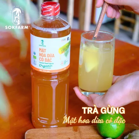 Combo 2 sản phẩm gia vị mật hoa dừa Sokfarm (Mật cô đặc 685g + Giấm 500ml).