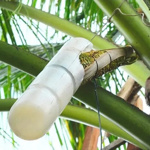 Date 7/2027 Thùng 12 hộp mật hoa dừa tươi Sokfarm tiệt trùng UHT mỗi hộp 330ml