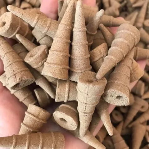 Nụ trầm hương