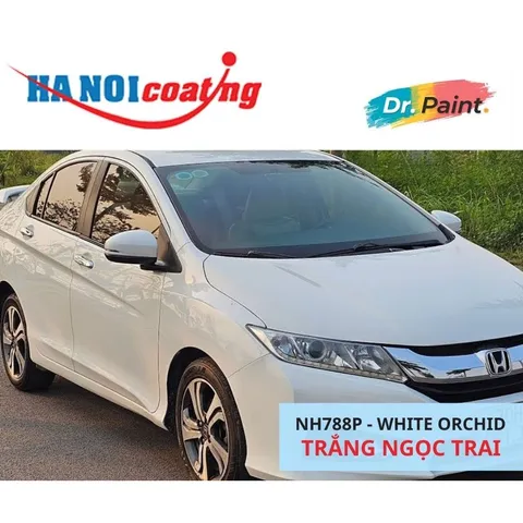 Bình Xịt Sơn Xóa Vết Xước Xe HONDA CIVIC Màu TRẮNG NGỌC TRAI code NH788P - WHITE ORCHID chính hãng DR.PAINT
