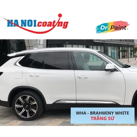 Bình sơn Xịt Xóa Vết Xước xe Ô tô VINFAST LUX SA 2.0 màu Trắng Sứ mã màu WHA - BRAHMINY WHITE chính hãng DR.PAINT