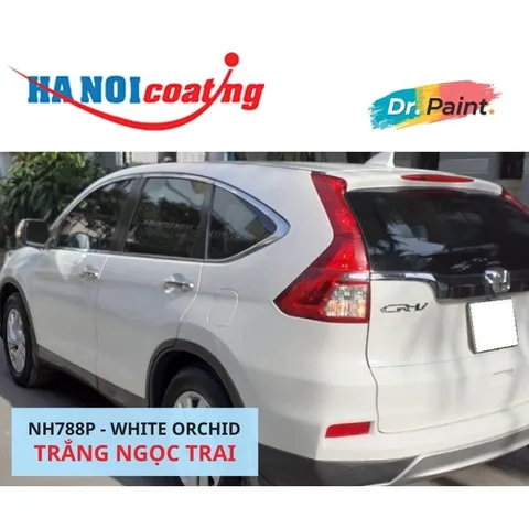 Bình Xịt Sơn Xóa Vết Xước Xe HONDA CR-V Màu TRẮNG NGỌC TRAI code NH788P - WHITE ORCHID chính hãng DR.PAINT