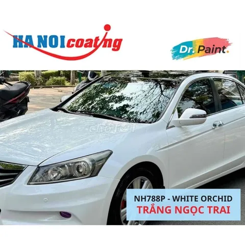 Bình Xịt Sơn Xóa Vết Xước Xe HONDA ACCORD Màu TRẮNG NGỌC TRAI code NH788P - WHITE ORCHID chính hãng DR.PAINT