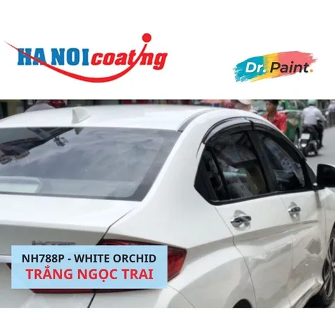 Bình Xịt Sơn Xóa Vết Xước Xe HONDA CITY Màu TRẮNG NGỌC TRAI code NH788P - WHITE ORCHID chính hãng DR.PAINT
