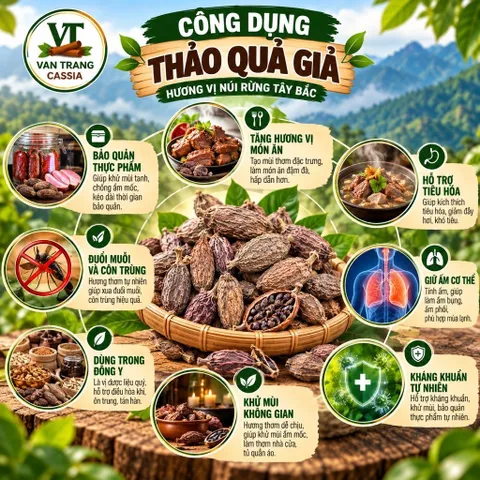 Thảo Quả Đỏ – Gia Vị Nấu Phở, Hầm Xương, Nấu Nước Dùng, Chế Biến Món Ănd