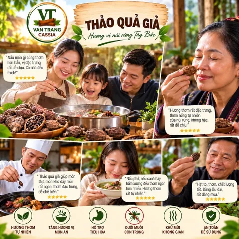 Thảo Quả Đỏ – Gia Vị Nấu Phở, Hầm Xương, Nấu Nước Dùng, Chế Biến Món Ănd