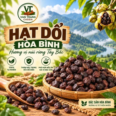 Hạt Dổi Rừng Khô – Gia Vị Đặc Sản Tây Bắc, Làm Muối Chấm Chẩm Chéo, Ướp Thịt Nướng