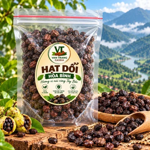 Hạt Dổi Rừng Khô – Gia Vị Đặc Sản Tây Bắc, Làm Muối Chấm Chẩm Chéo, Ướp Thịt Nướng