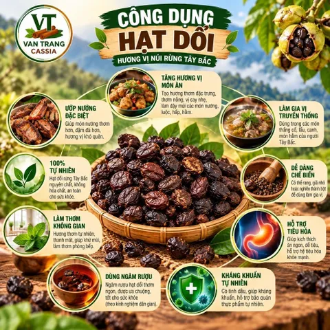 Hạt Dổi Rừng Khô – Gia Vị Đặc Sản Tây Bắc, Làm Muối Chấm Chẩm Chéo, Ướp Thịt Nướng