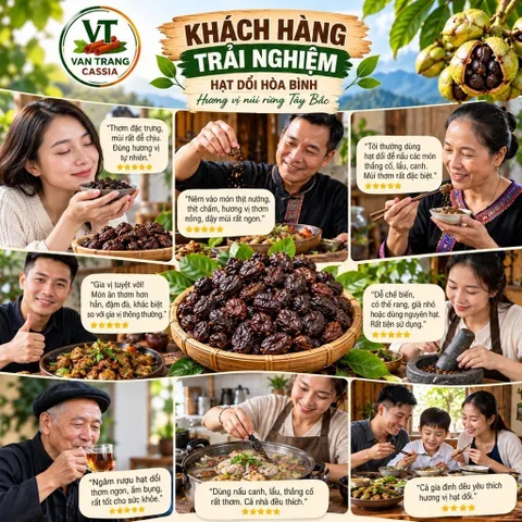 Hạt Dổi Rừng Khô – Gia Vị Đặc Sản Tây Bắc, Làm Muối Chấm Chẩm Chéo, Ướp Thịt Nướng
