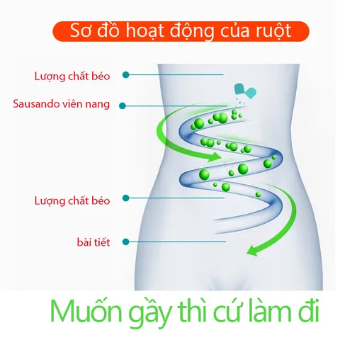 Trà detox giảm cân nhập khẩu Nhật Bản,trà detox,giảm cân nhanh,7 ngày giảm cân cấp tốc 20pcs,kiểm soát cân nặng
