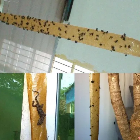 Bẫy ruồi vàng hai mặt Miếng Dán Bẫy Côn Trùng Hiệu quả,hai mặt siêu thu hút siêu dính Áp dụng cho vườn rau củ quả