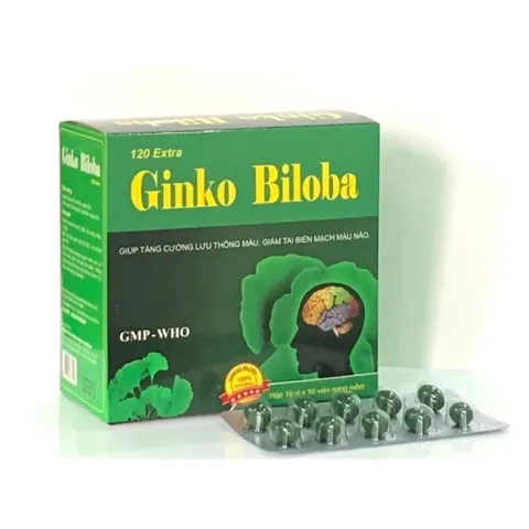 Bổ não GINKO BILOBA 120mg Vinaphar - Hộp 100 viên