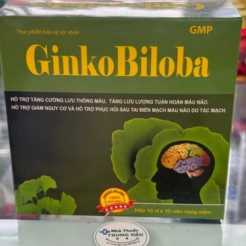 Bổ não GINKO BILOBA 120mg Vinaphar - Hộp 100 viên
