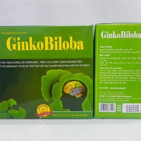 Bổ não GINKO BILOBA 120mg Vinaphar - Hộp 100 viên
