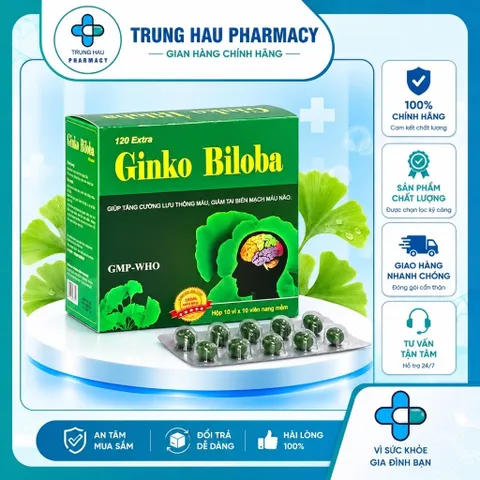 Bổ não GINKO BILOBA 120mg Vinaphar - Hộp 100 viên