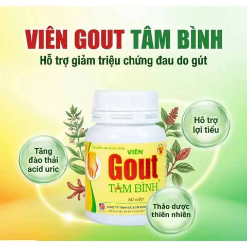 Viên hỗ trợ giảm triệu chứng đau do gút Gout Tâm Bình (60 viên)