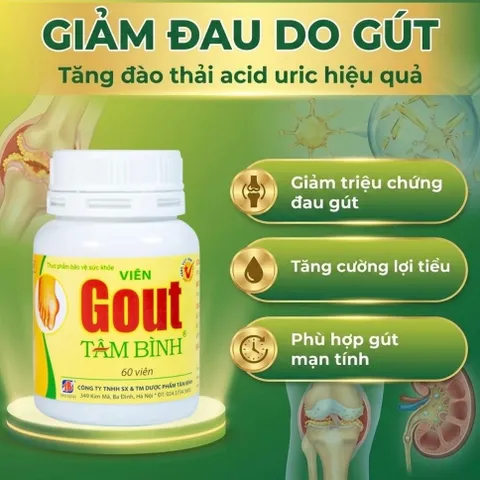 Viên hỗ trợ giảm triệu chứng đau do gút Gout Tâm Bình (60 viên)