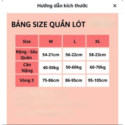 [BEST SALE] Sét 10 Quần Lót Nữ Su Lạnh Phối Lưới Viền Cạp Chữ Khoẻ Khoắn Mát Đẹp