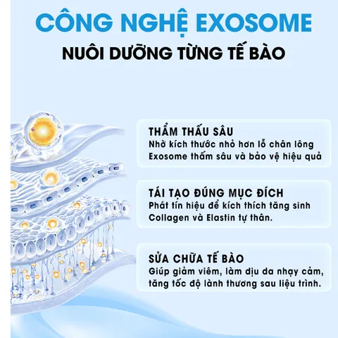 [KOREAN] MẶT NẠ RAU MÁ EXOCICA 28G/MIẾNG – EXOCICA MASK, LÀM DỊU, CẤP ẨM, GIÚP DA MỀM MỊN, PHÙ HỢP DA YẾU VÀ DA NHẠY CẢM