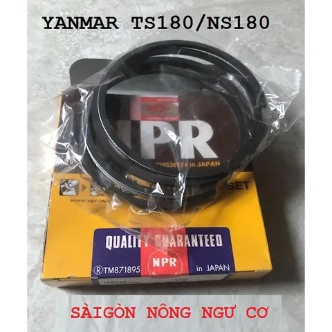 Bạc xéc măng Nhật Bản máy Yanmar TF65 TF70 TF105 TF110 NS10 TS120 RK70 RV70 EA8