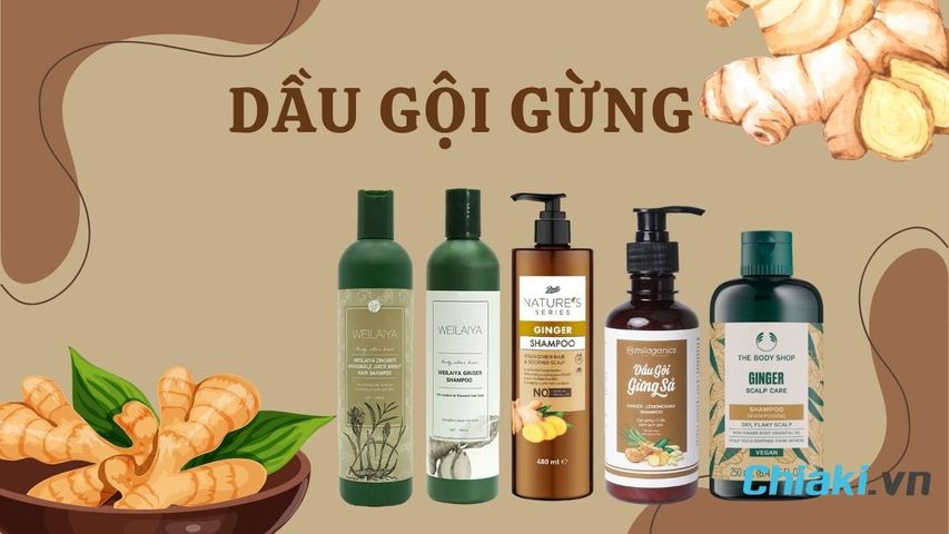 TOP 5 dầu gội gừng ngăn rụng tóc, kích thích mọc tóc hiệu quả