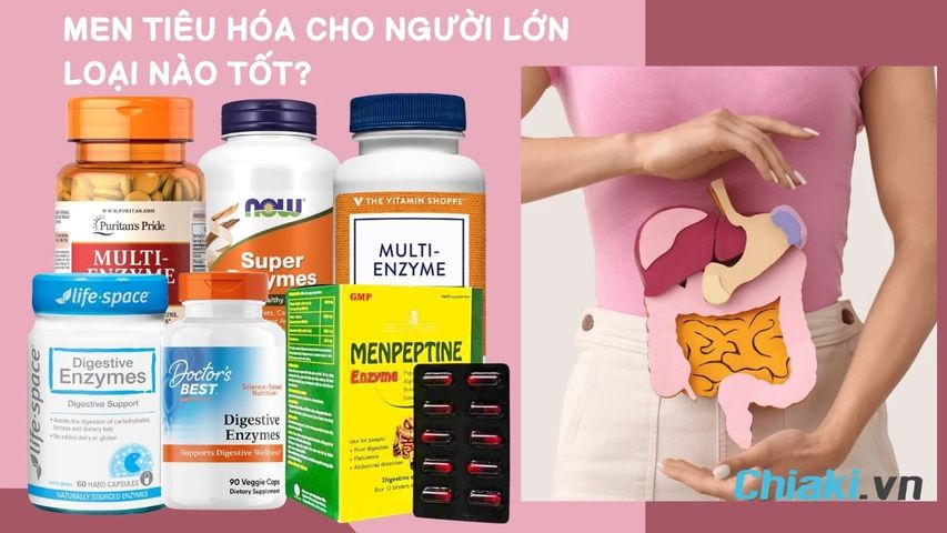 Men tiêu hóa cho người lớn loại nào tốt? Top 9 sản phẩm 2026