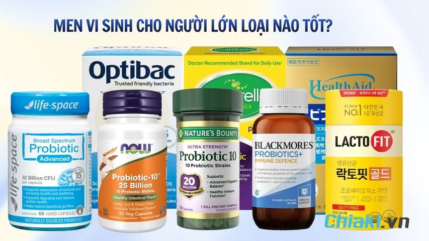 TOP 10 men vi sinh cho người lớn đường ruột khỏe, tiêu hóa tốt
