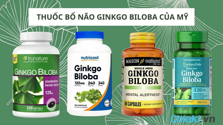 TOP 6 thuốc Ginkgo Biloba của Mỹ bổ não hiệu quả nên dùng