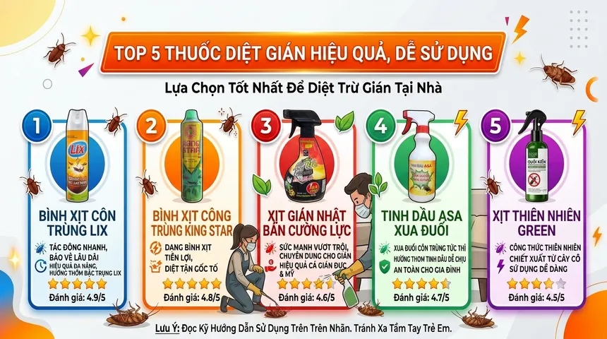 Top 5 thuốc xịt gián tốt, tiện lợi được nhiều người lựa chọn