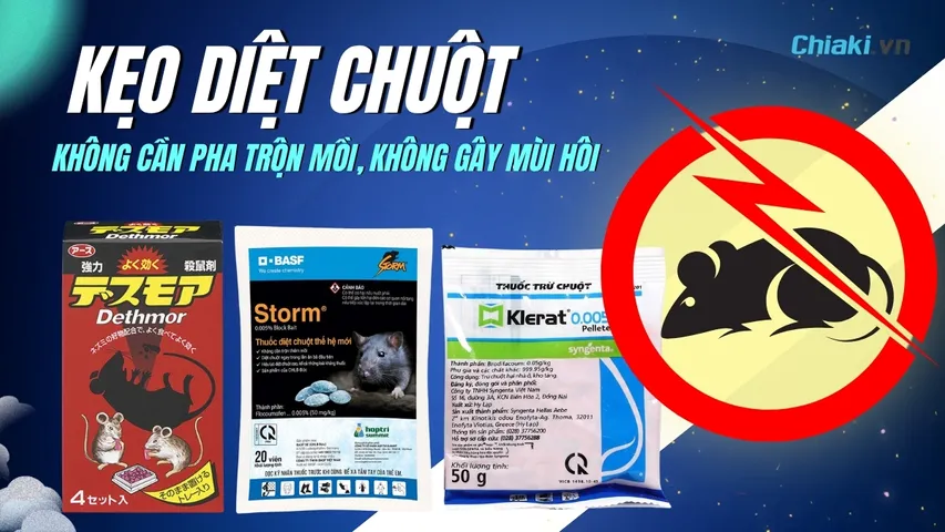 Top 5 Kẹo diệt chuột hiệu quả nhanh được ưa chuộng 2026