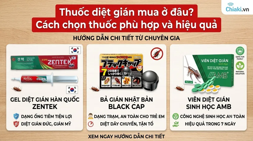 Thuốc diệt gián mua ở đâu? Cách chọn thuốc phù hợp và hiệu quả