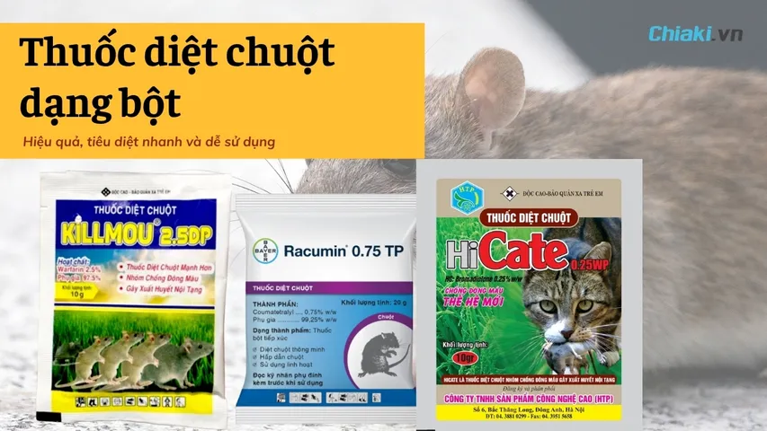 Top 3 Thuốc diệt chuột dạng bột hiệu quả, giá rẻ, nên mua 2026