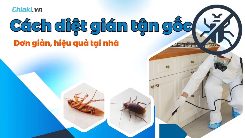 Top 10 Cách diệt gián tận gốc tại nhà đơn giản, hiệu quả 
