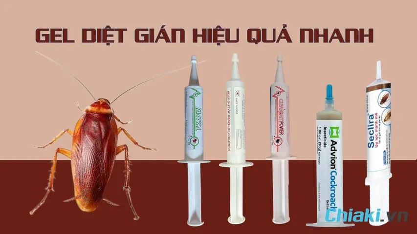 TOP 5 gel diệt gián hiệu quả siêu nhanh cho mọi gia đình