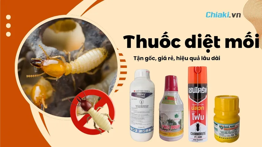 Top 10 Thuốc diệt mối tận gốc, giá rẻ, hiệu quả lâu dài