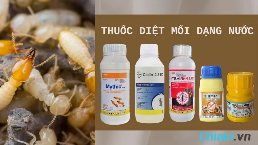 TOP 5 thuốc diệt mối dạng nước an toàn, hiệu quả tận gốc