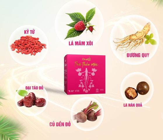 Trà thảo mộc OvaQ cho phụ nữ chuẩn bị mang thai