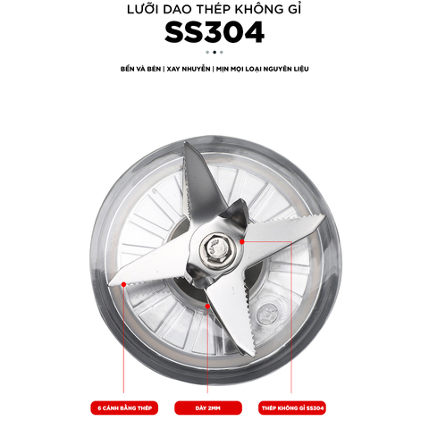 Máy xay sinh tố đa năng Roler RB-4113 công suất 800W