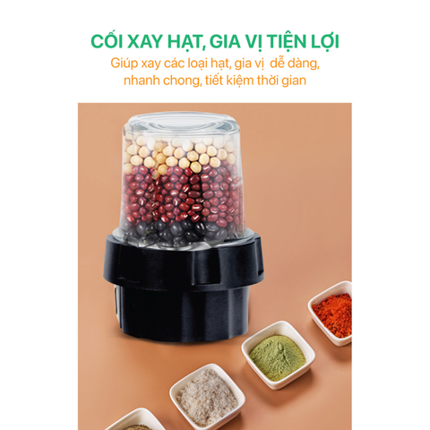 Máy xay sinh tố đa năng Roler RB-4101 công suất 500W