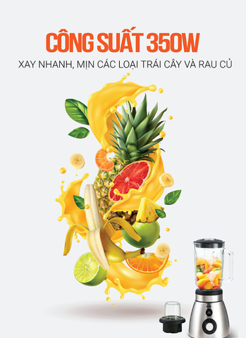 Máy xay sinh tố đa năng 2 cối Roler RB-4107 350W