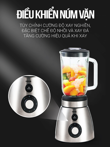 Máy xay sinh tố đa năng 2 cối Roler RB-4107 350W