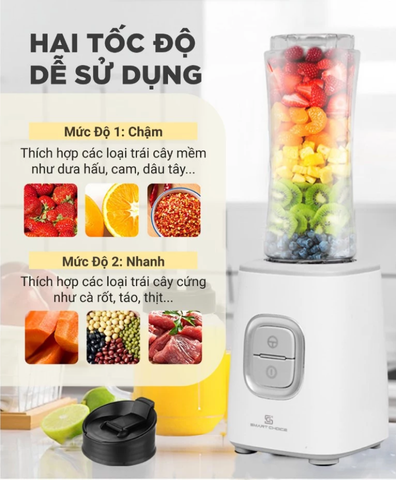 Máy xay sinh tố Smart Choice SCG-ST002 công suất 300W